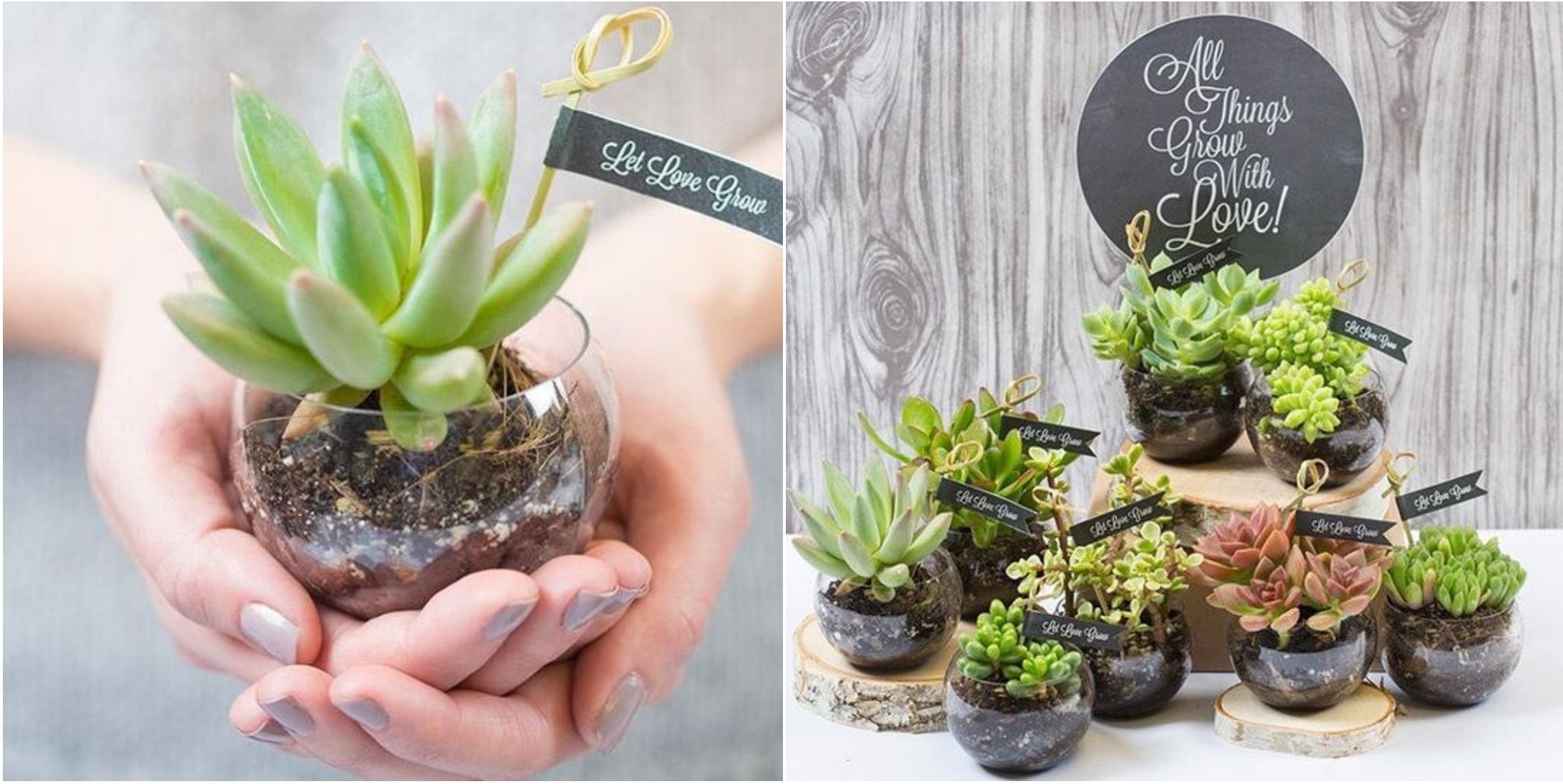 Succulent Love: DIY Wedding Favors for a Green-Themed Celebration