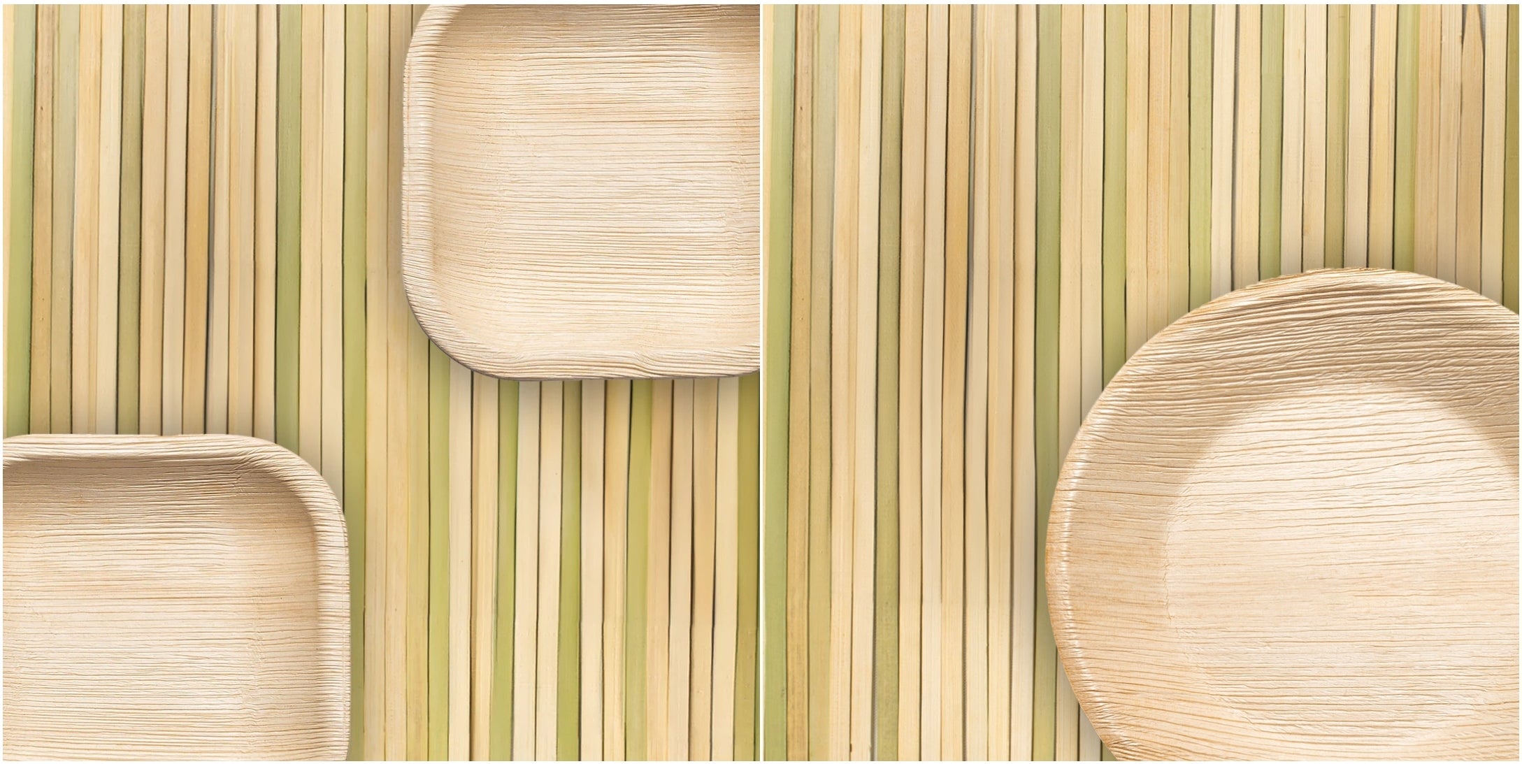 Square and round eco-friendly plates displayed together, both made from sustainable palm leaves.